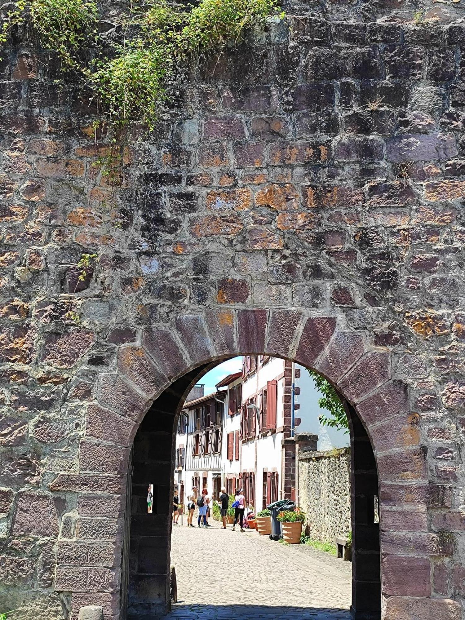 L'Auberge Du Pelerin - St Jean Pied De Port Saint-Jean-Pied-de-Port Exterior foto